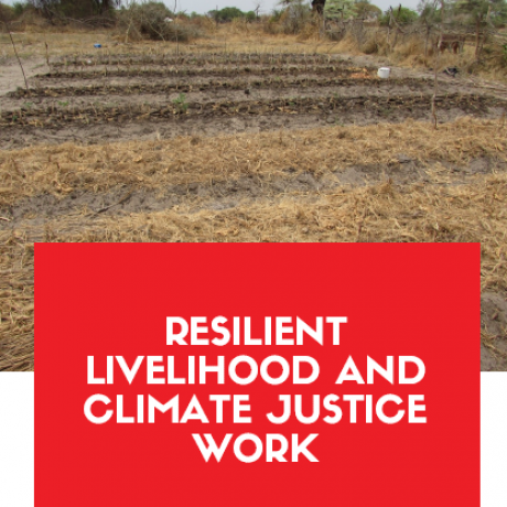 Resilient Livelihood and Climate Justice