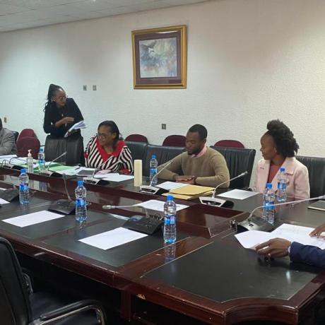 ActionAid Zambia Parliamentary Submission - Submission to the Committee on Cabinet Affairs:  Reviewing the Operations of the Financial Intelligence Centre (FIC)