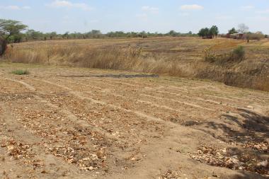 Dry Chongwe River